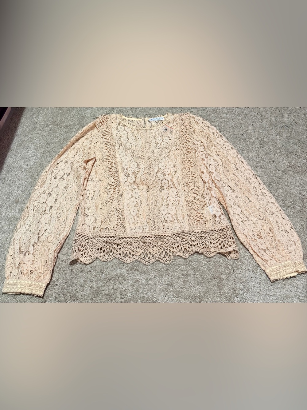 NWOT. Calista Blush Lace Crochet Top
